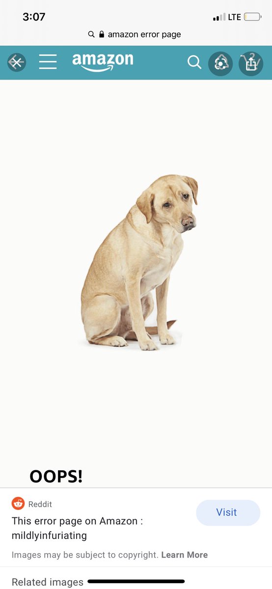 Amazonエラー犬コレクション Togetter