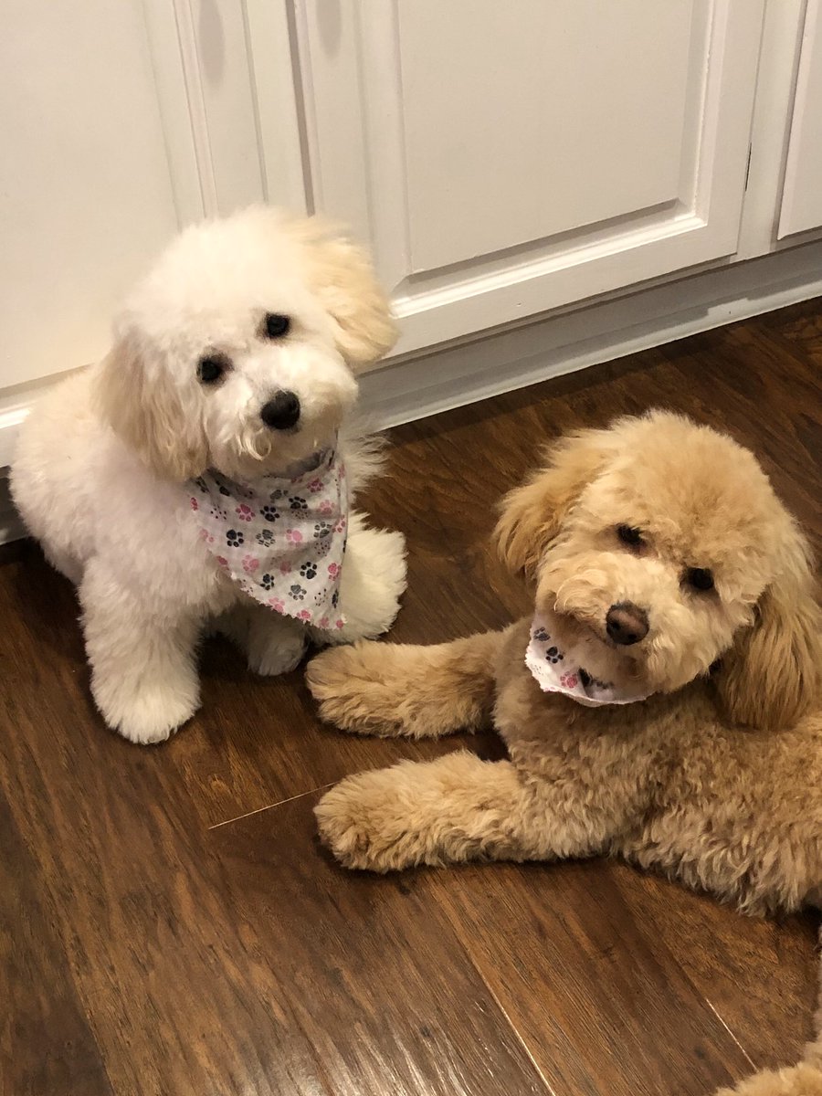 LLChocolate's tweet photo. Spa day!  @Aaeolien @LadyandtheAlien https://t.co/NKmb3RzpJQ