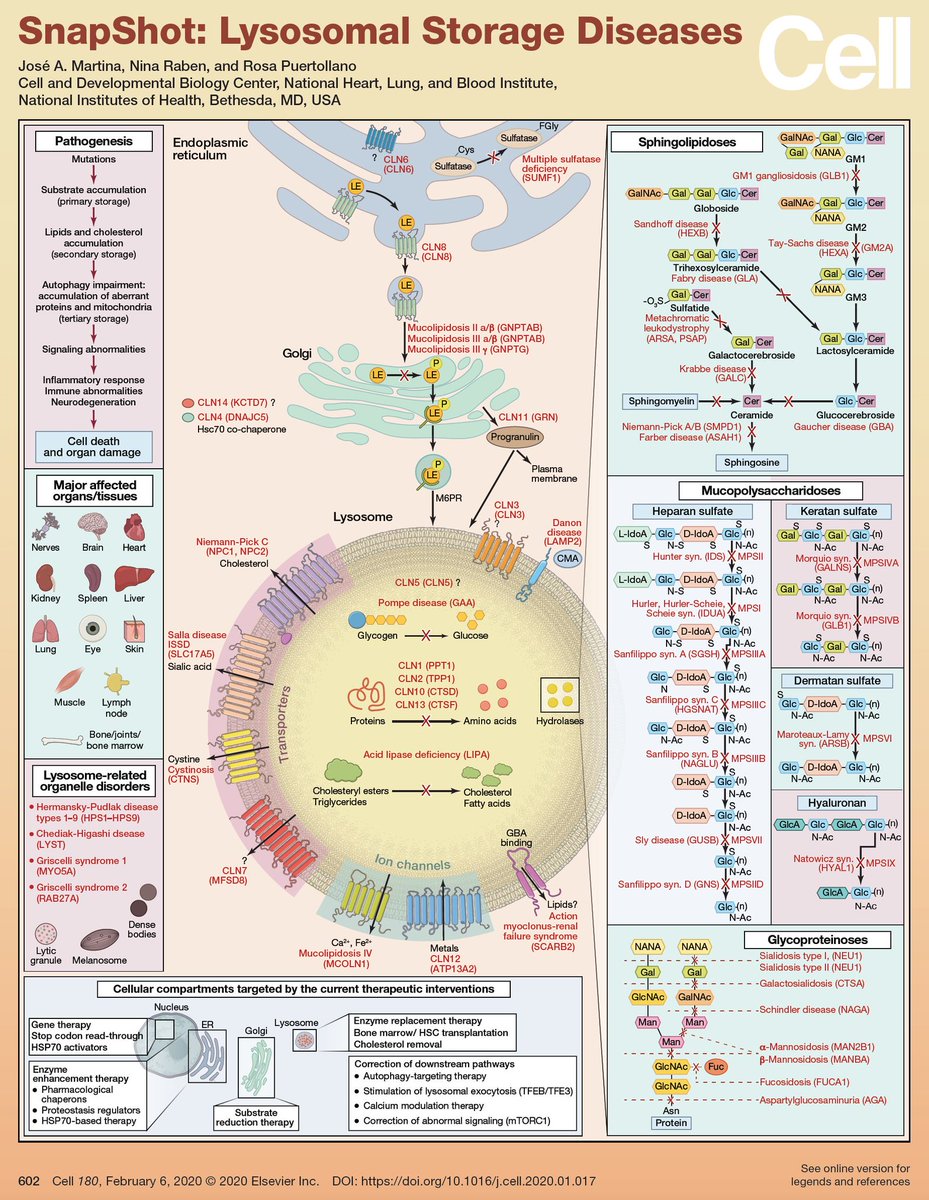 Here is a great snapshot of LSDs published recently by Martina et al. (2020).