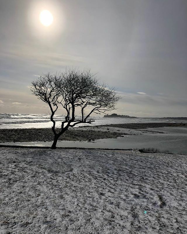 OnePlanetEN's tweet image. Post storm Scituate Rivermoor peninsula, briefly an island - March 7 2020 ift.tt/32Y1KQm