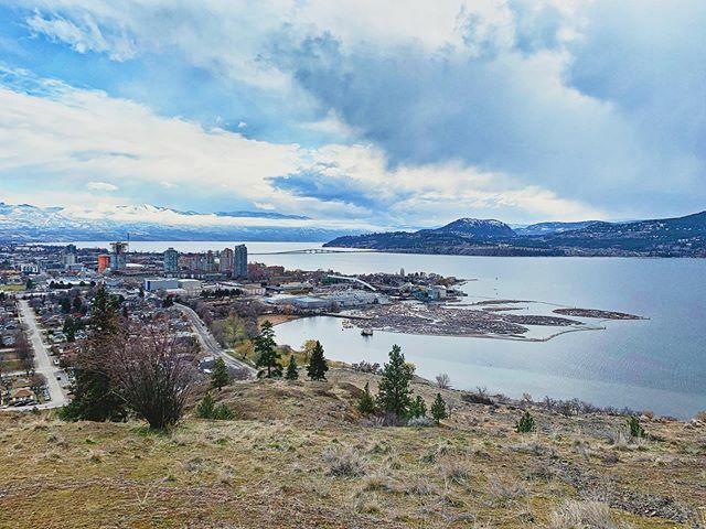 joewuq's tweet photo. #hiking #mecnation #bestmountainartists #earthpix #natureaddict #nature_wizards #pnw #ourplanetdaily #wanderlust #naturephotography #pnwonderland #gooutside #hikebc #theoutbound #mountains #explorebc #bcparks #yourbcparks #landscape_captures #camping #ke… https://t.co/8YjaQ36mb7 https://t.co/AjxhgR9IQW
