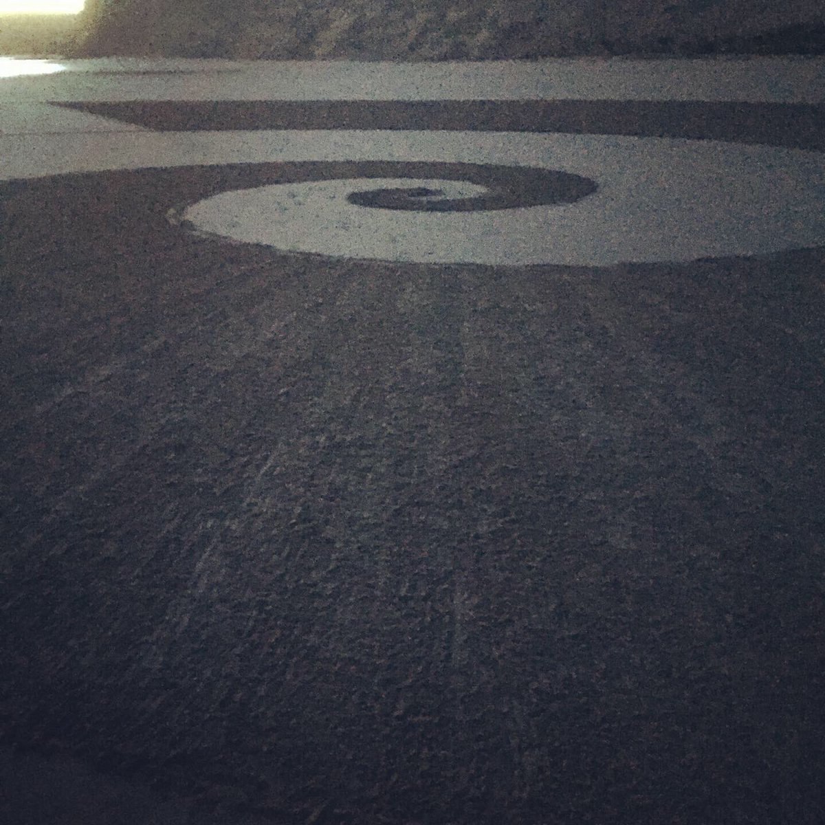 The West Marin Feed tweet media