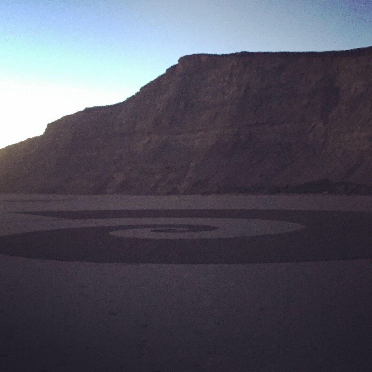 The West Marin Feed tweet media