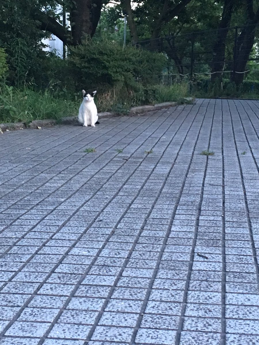囲碁にしか見えない 
#あなたの別世界を教えてください 