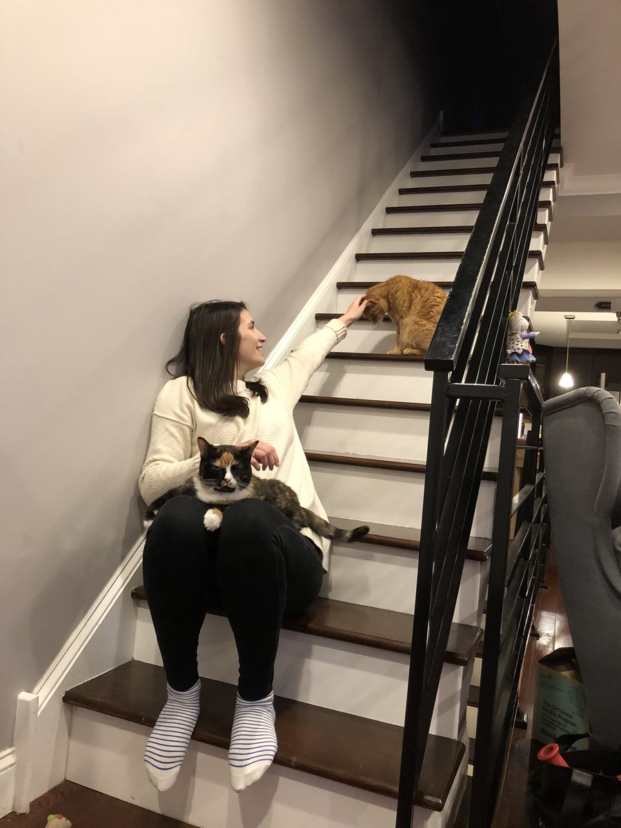 Isabelle came to help me drill things into my walls and also she brought me a stunning jewelry box—which she MADE HERSELF in a woodworking class. I honestly don’t want to defile it with my junky baubles. Here she is with my cats.