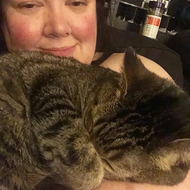 devon2v's tweet photo. This #caturday has been an all day cuddle fest ❤️🥰😍😻 #cat #catsofinstagram https://t.co/i55CZWacpg https://t.co/Lbb0rQiGmp