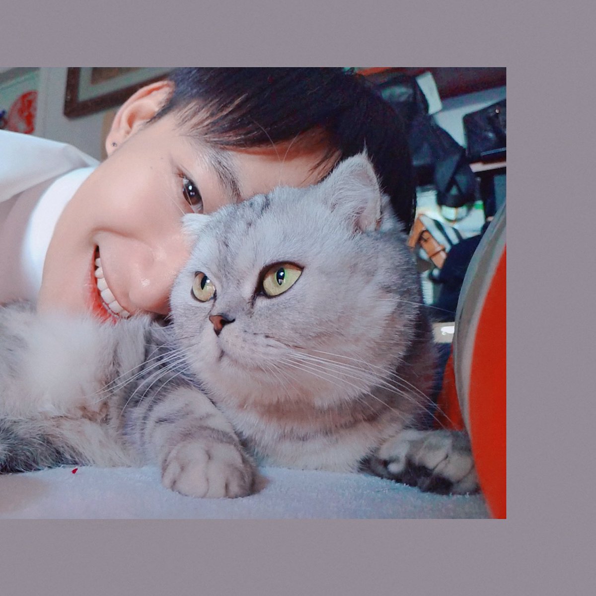 Noah_7030's tweet photo. 🙇🏻‍♂️🐈 https://t.co/3OkWLTTHA9