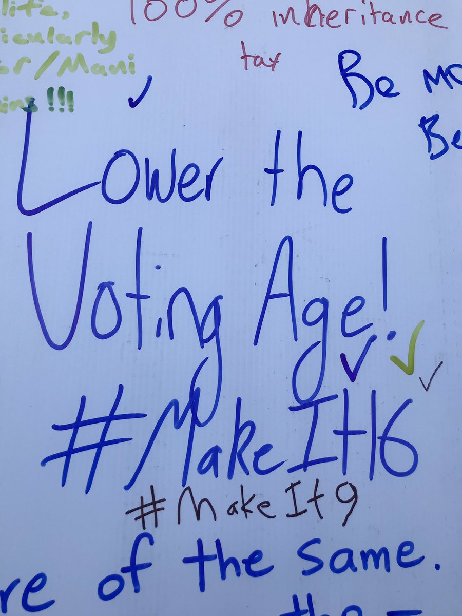 FleurFitzsimons's tweet photo. My 9 year old’s contribution to @pauleaglenz issues board! Voting age of 9 #makeit9 https://t.co/6mosmij0V9