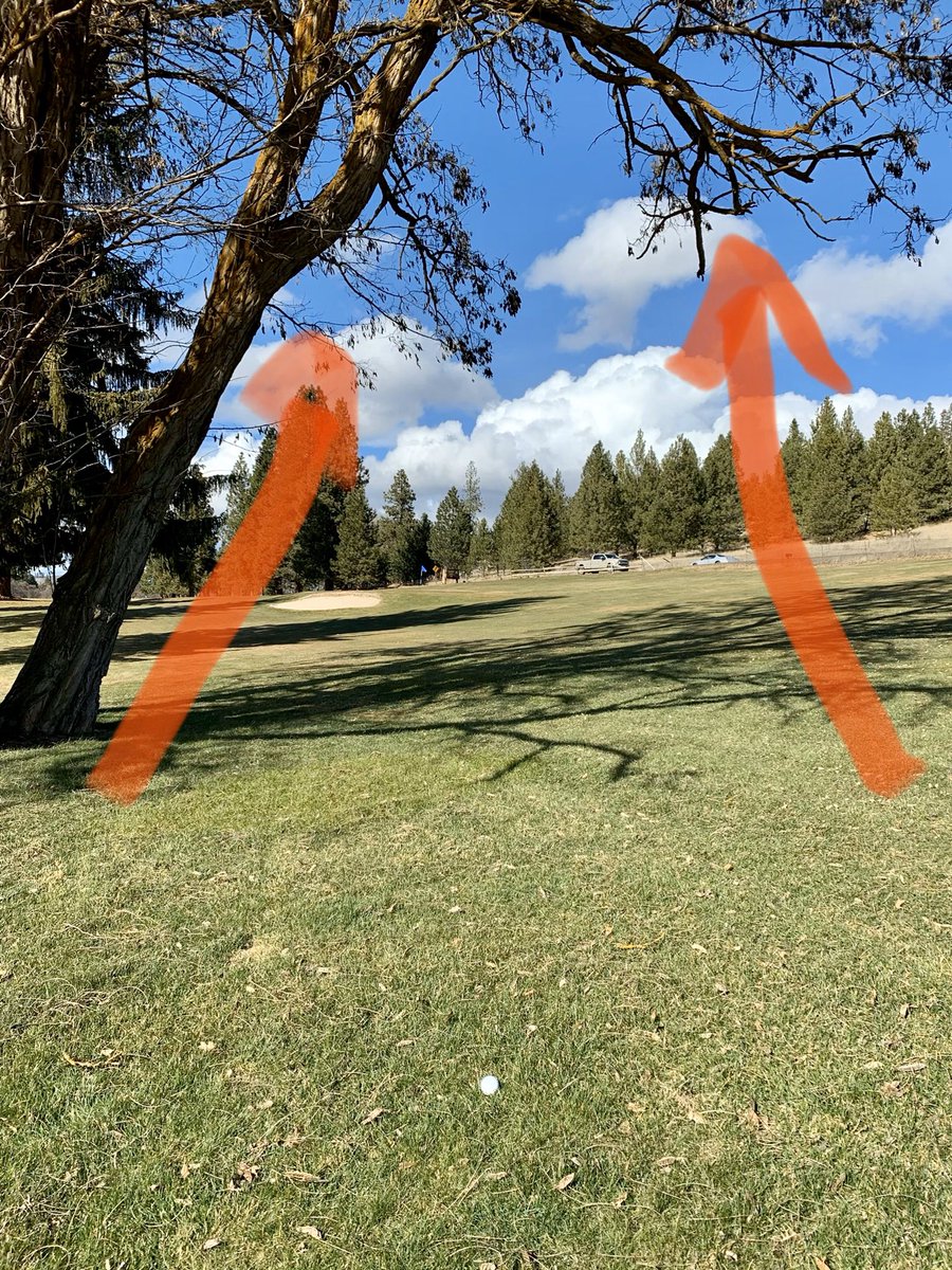 MensGolf's tweet photo. @ClubProGuy Question: always under the same tree on this tough 368 par 4, the branchs always block my 2nd.  Is a midnight run with a ladder and chainsaw sanctioned with USGA? https://t.co/c5nR8VlgIV