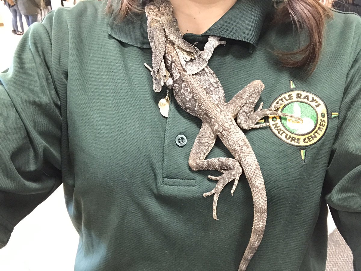 mrs_butlin's tweet photo. I got to play with animals all day ❤️ https://t.co/SidW33w7bO