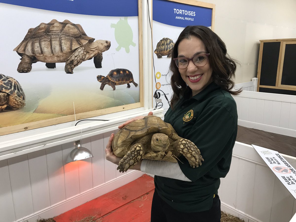 mrs_butlin's tweet photo. I got to play with animals all day ❤️ https://t.co/SidW33w7bO
