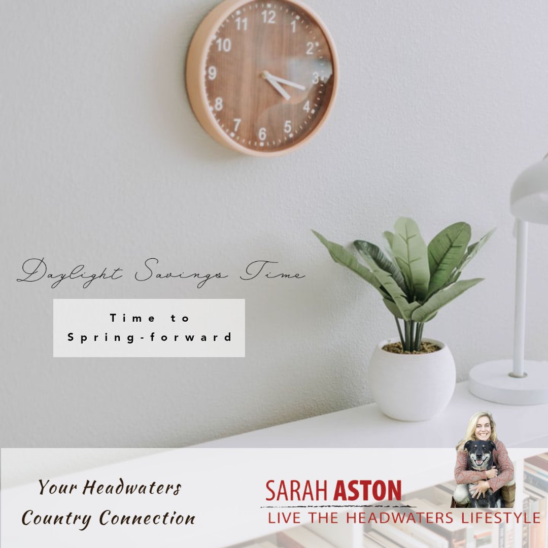 Sarah Aston tweet media