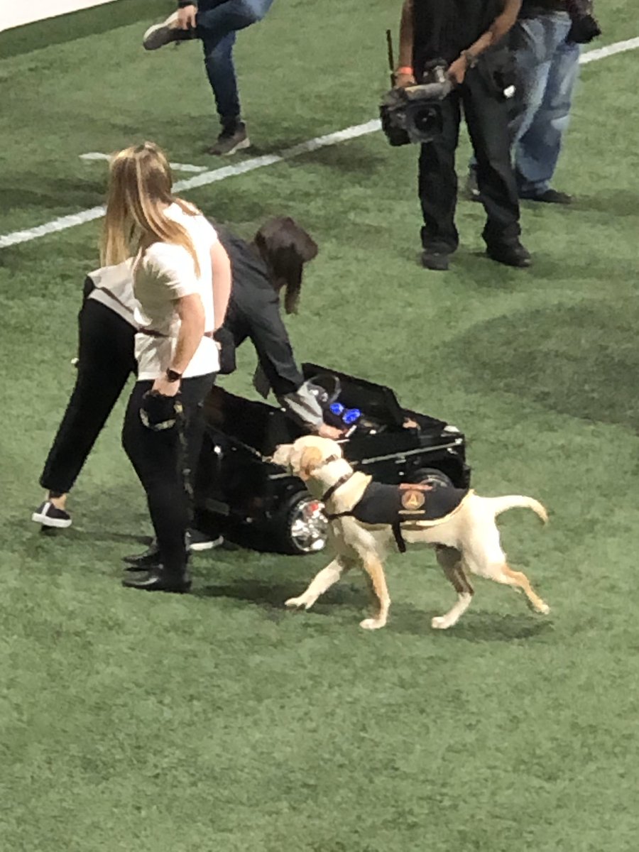 tproell's tweet photo. Seriously excited to see @ATLUTD Spike on the pitch! #UniteAndConquer #FoundingMember #SpikeRules #GoodDog https://t.co/GHSTeXw6Jy