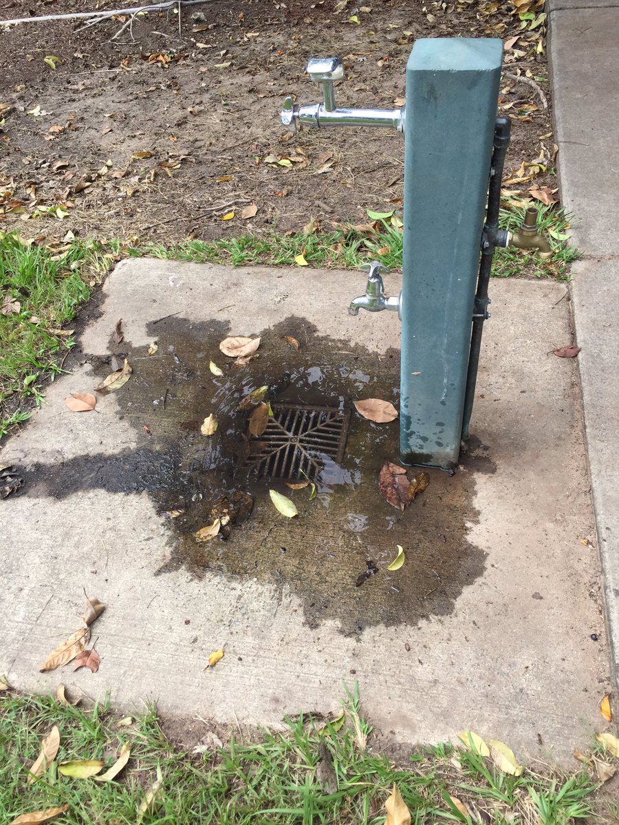 MattCamp4151's tweet photo. @brisbanecityqld blocked drain in Trundle Park, Coorparoo https://t.co/aA5AsLgJBn