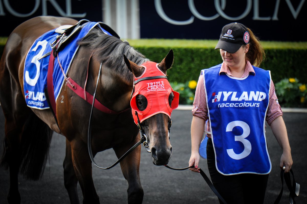 anz_news's tweet image. "We salute him!" 
The venerable #Redzel is an equine superstar for @TripleCrownSynd and @SnowdenRacing1.