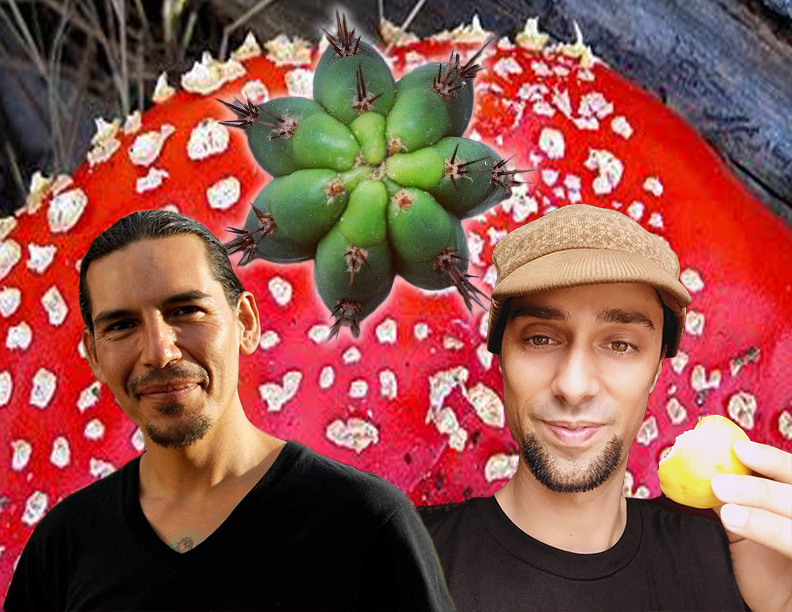 Trevahr's tweet photo. In Arizona on March 20th through 22nd myself #mushroomshaman and a special guest from Chile, Renato G, will be offering three nights of experiences including Sound Healing, Wachuma San Pedro, and Cacao! Reach out 619-663-4844 @mushroomshaman
https://t.co/tWhH6C9ZDW https://t.co/zPOdvLBUnK