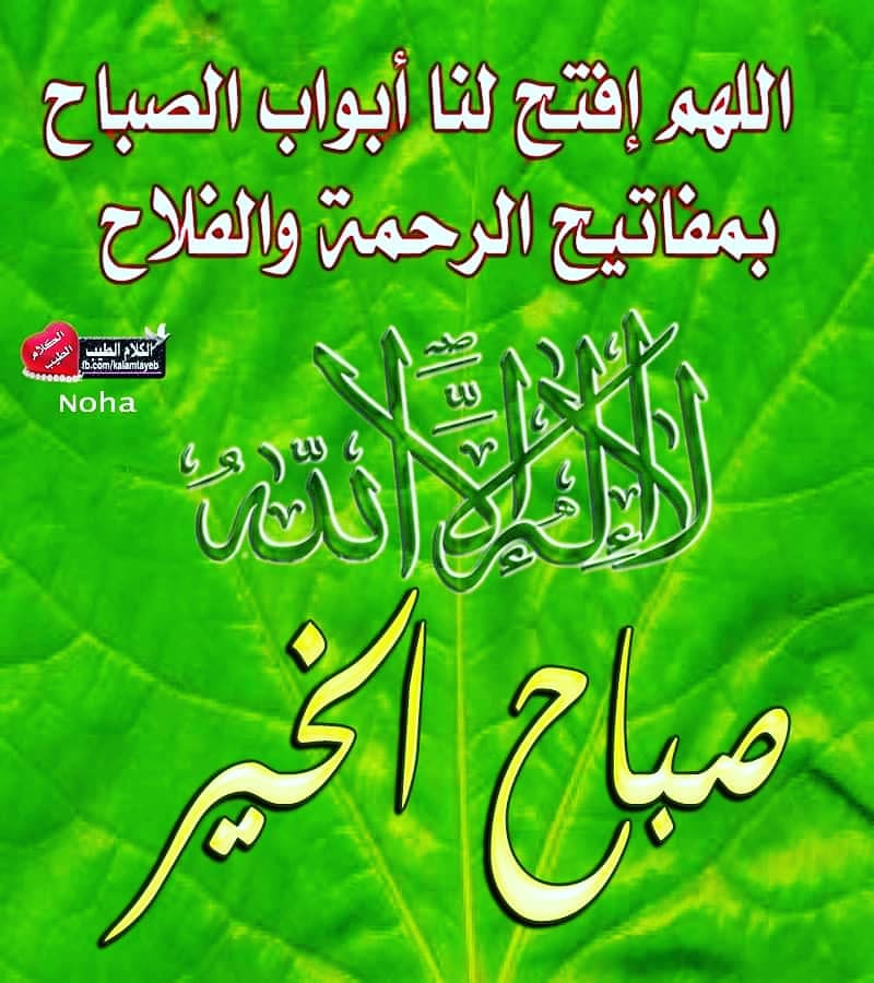 خادمه الزهراء (@haedarnore3) on Twitter photo 