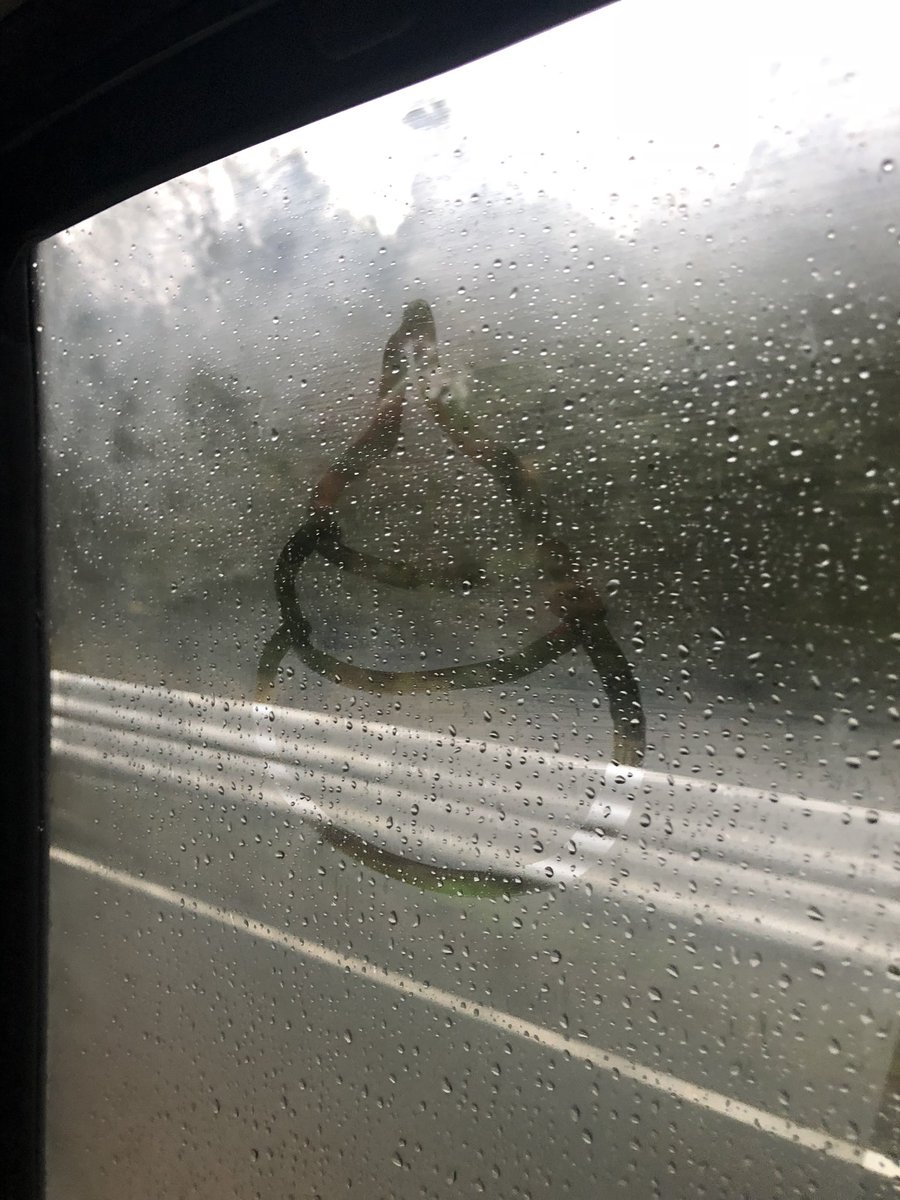 二頭 雨の日に車乗ってる時 曇ったガラスに指で落書きするの楽しかったよね 子供心を忘れない大人の男の鑑 二頭 雨の日に車乗ってる時 曇ったガラスに指で落書きするの楽しかったよね 子供心を忘れない大人の男の鑑