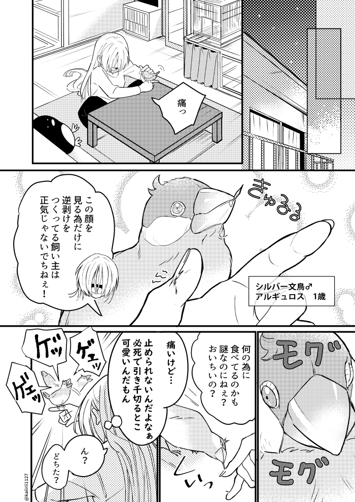 ささくれイカル 1話 #漫画 ##創作 https://t.co/UhsovTvRNV 