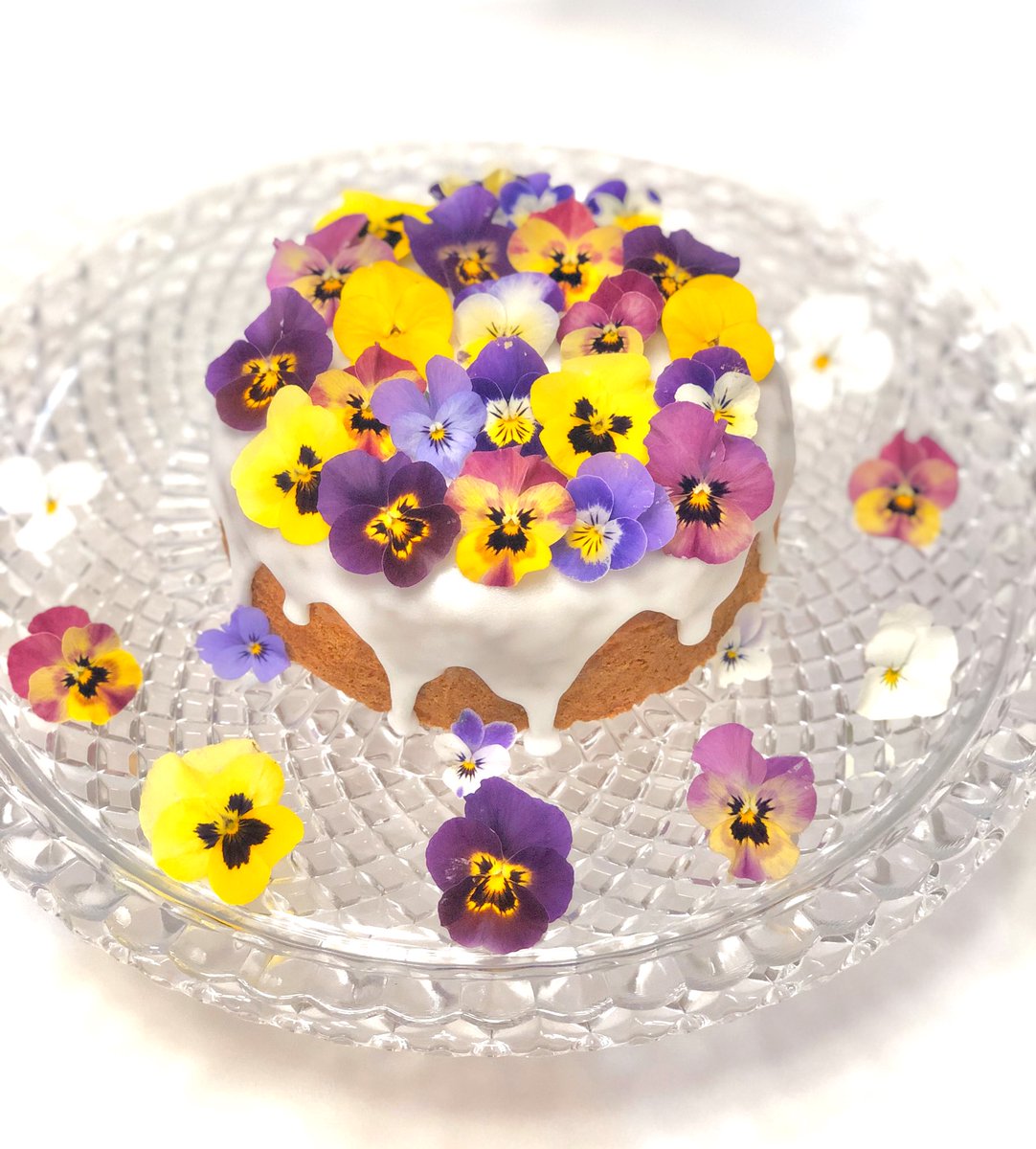 シトロンケーキ シトロンケーキ