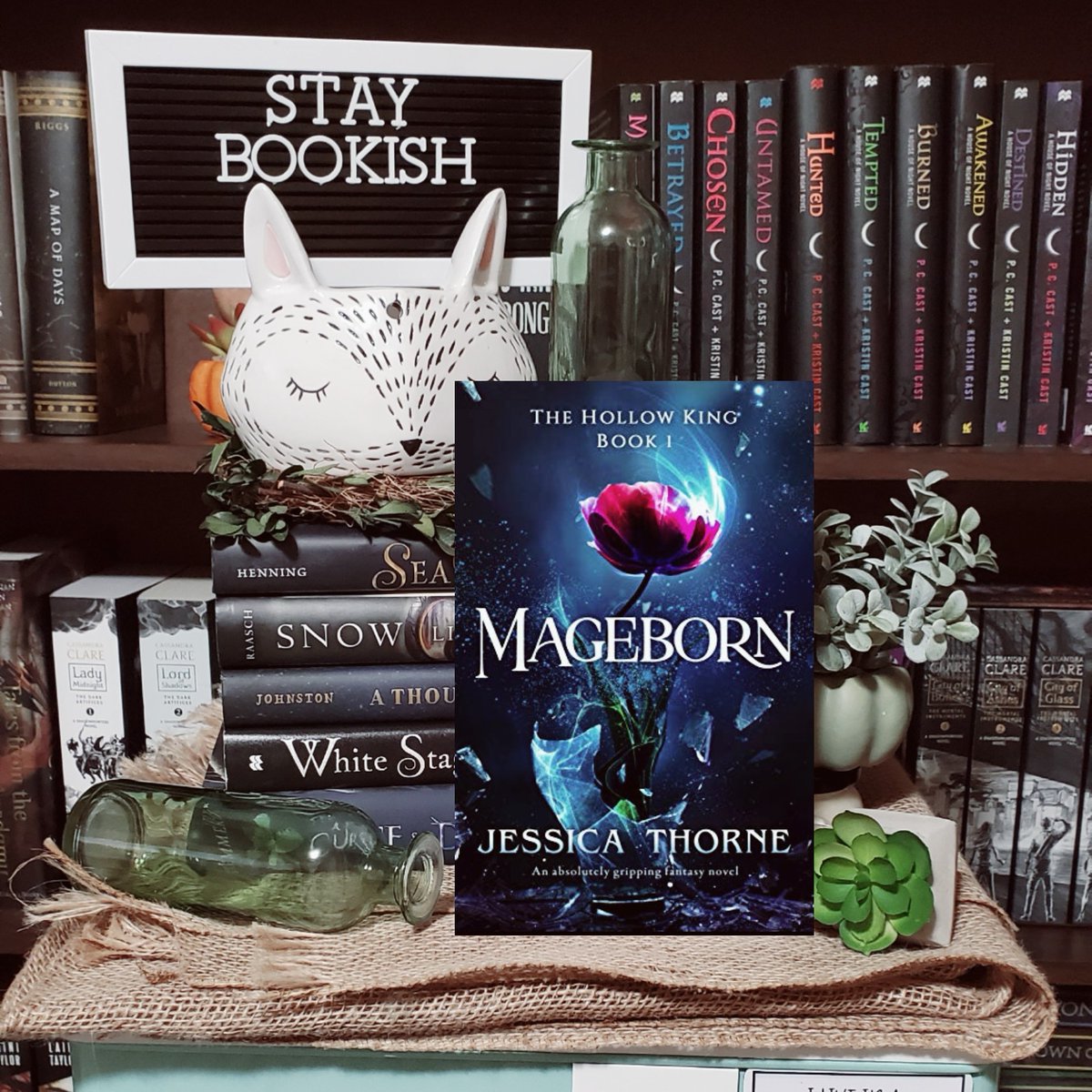 KL_Novitzke's tweet photo. #Bookreivew for Young Adult Fantasy novel, #Mageborn by #jessicathorne 

Read my review here: https://t.co/PGPYqXNsx6

#bookish @NetGalley #netgalleyreview #bookpromo https://t.co/U0QVZjGZix
