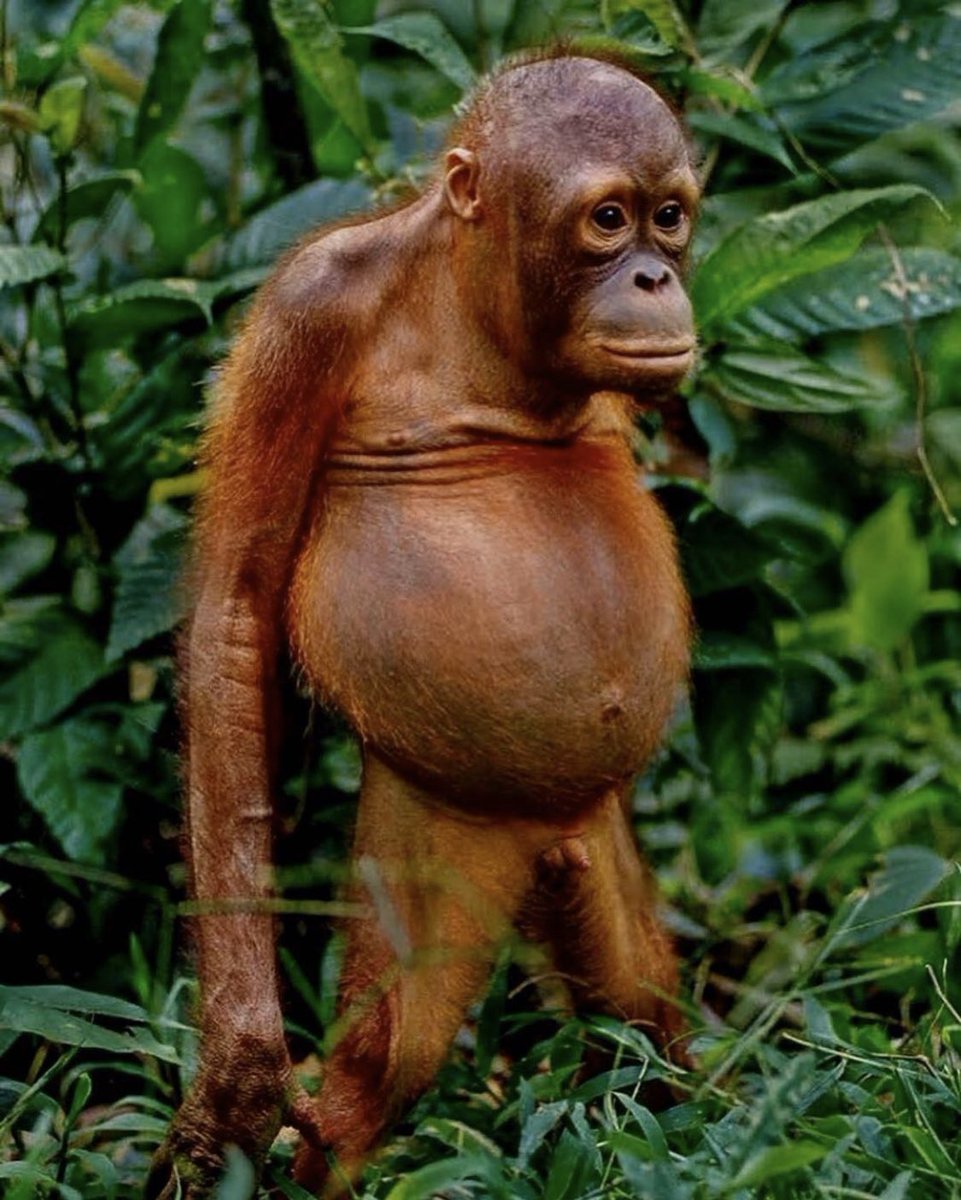 Kate_Morin's tweet photo. What I think guys see when they look at me. https://t.co/xGNBSfBxu5