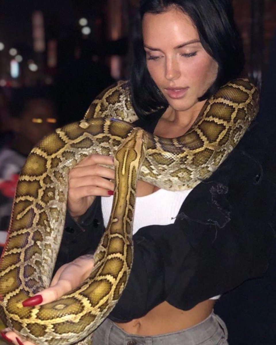 |~•

             Cómo decirte que te quiero que te estoy sincero que te escribo esta canción para robarte el corazón

            |~•