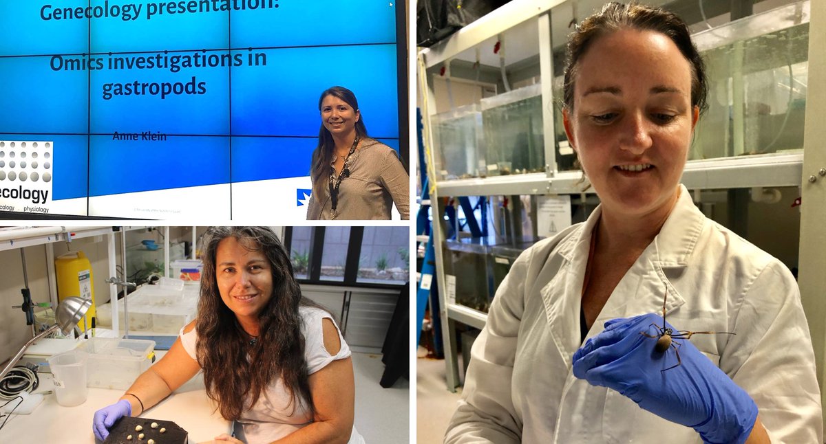 CBioinnovation's tweet photo. #Omics team #spidersilk #snail #transcriptome @AlessW8 Kate Ballard Anne Klein https://t.co/HOlt9pBzEn
