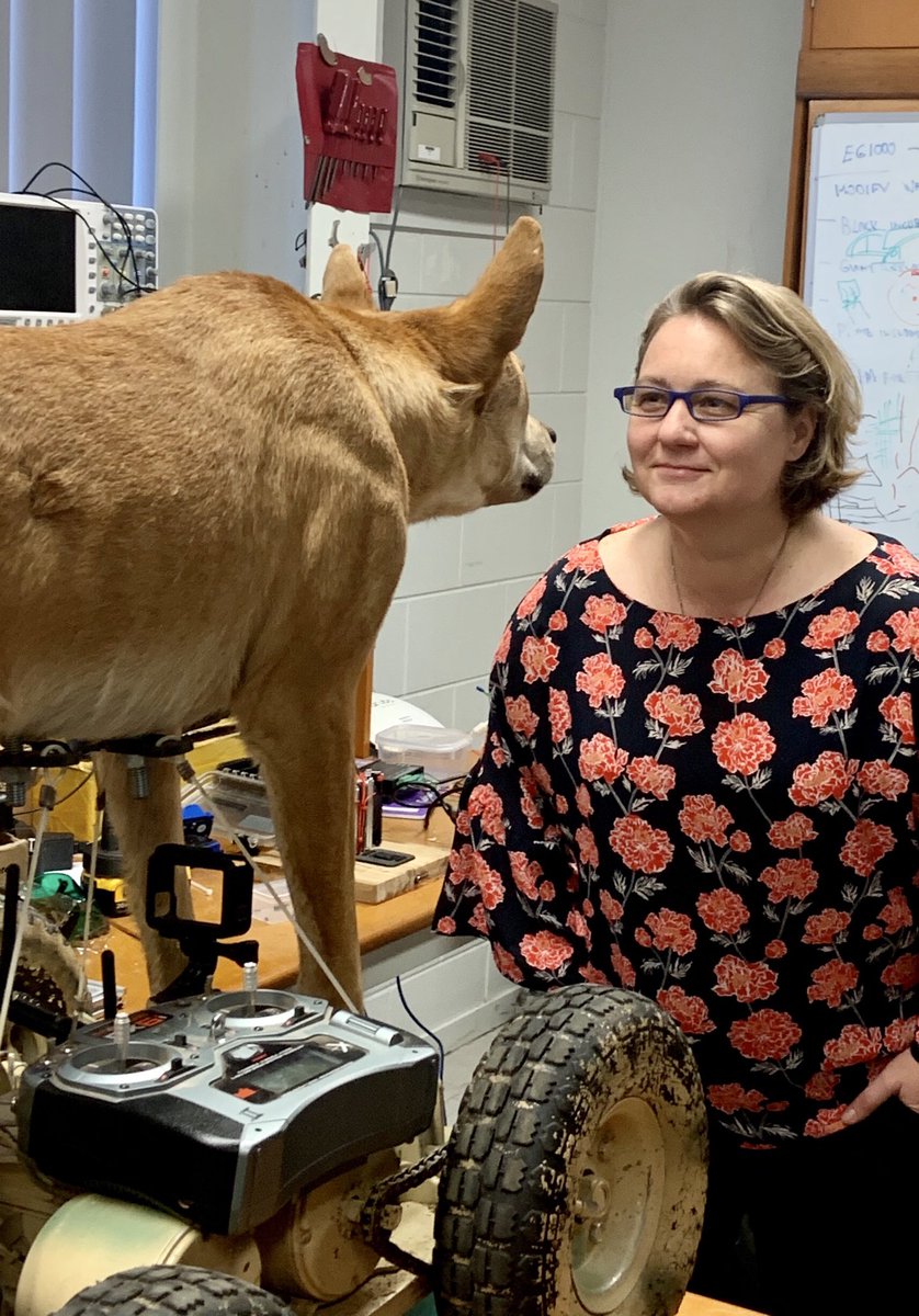 Craig O'Kane MBE tweet media