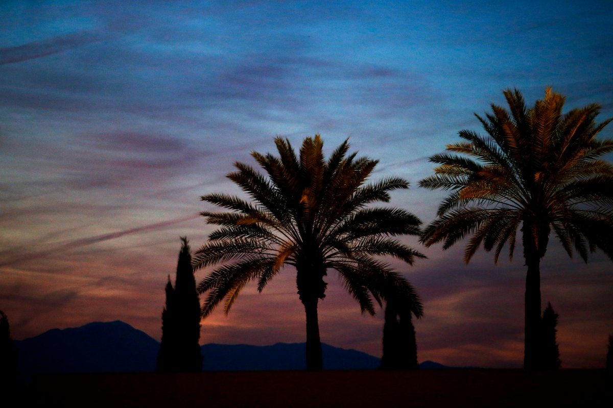 OracleChallngrs's tweet image. One day more. Goodnight, Indian Wells 🌴

#RoadtoIndianWells