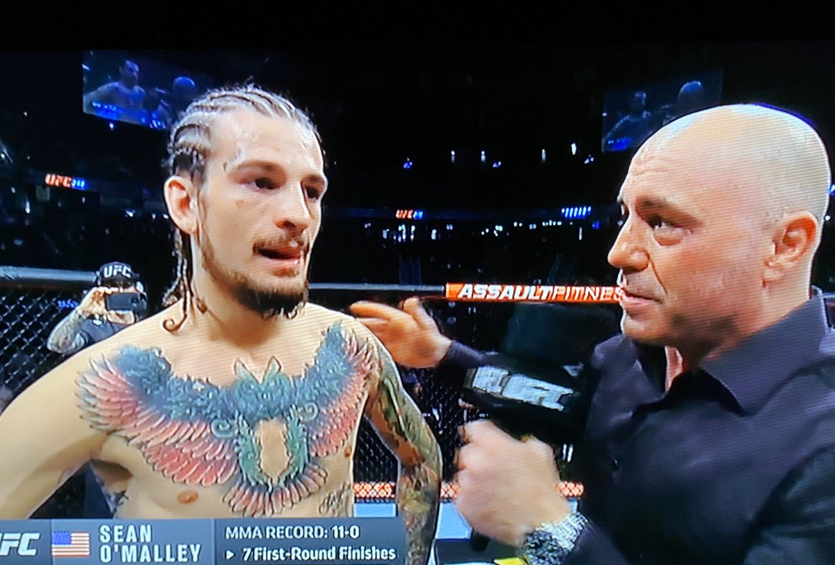 EscobarPT's tweet photo. And @sugaseanmma gets it done!!!  Congratulations to Sean and his team!!!  He had @tanquinhojj and @timwelchmt in his corner, two more of our favorite patients!!!  After being away for two years and undergoing two surgeries, Sean is still amazing!!! https://t.co/Q2MIT0c1Ug