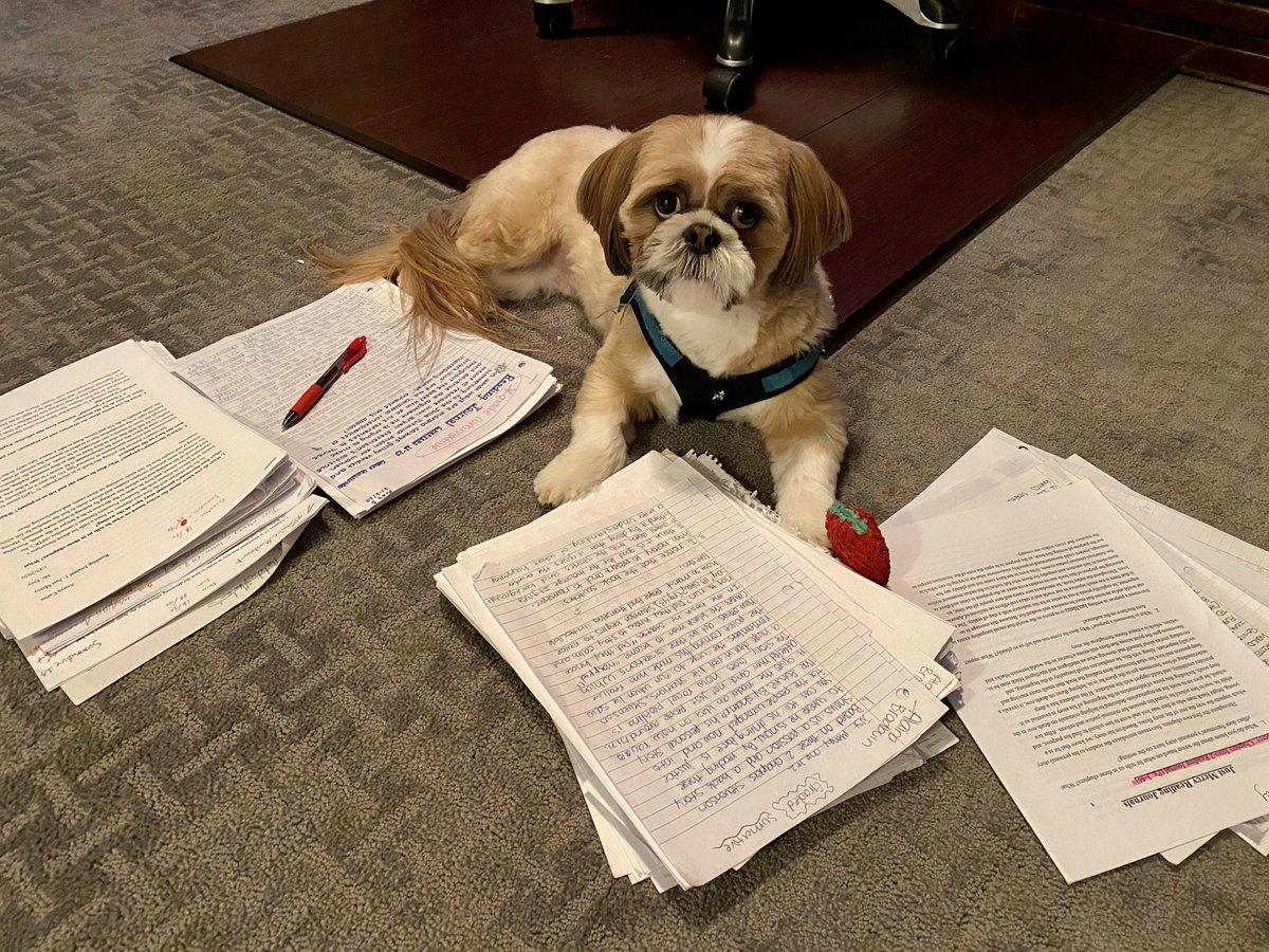 MFreyCLS's tweet photo. I’m tired of grading, so I got someone else to do it for me. https://t.co/hmsY1qs99P