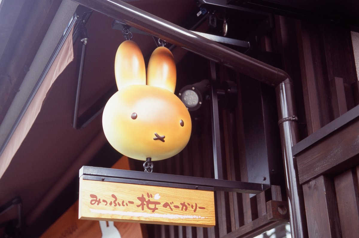 kodaman_1999's tweet photo. 仕事の合間に現像上がったフィルム取りに行ってきました（2）－2

KodakのFunSaverと一緒に現像出したvelvia100で撮った嵐山の写真(2020/02/22撮影)のその2と奈良市写真美術館。

#写真の文明堂　#カメスズ　#チャンプカメラ　#嵐山　#奈良市写真美術館　#Fujifilm　#velvia100　#Mimolta　#α707si https://t.co/DeiSGzVNo4