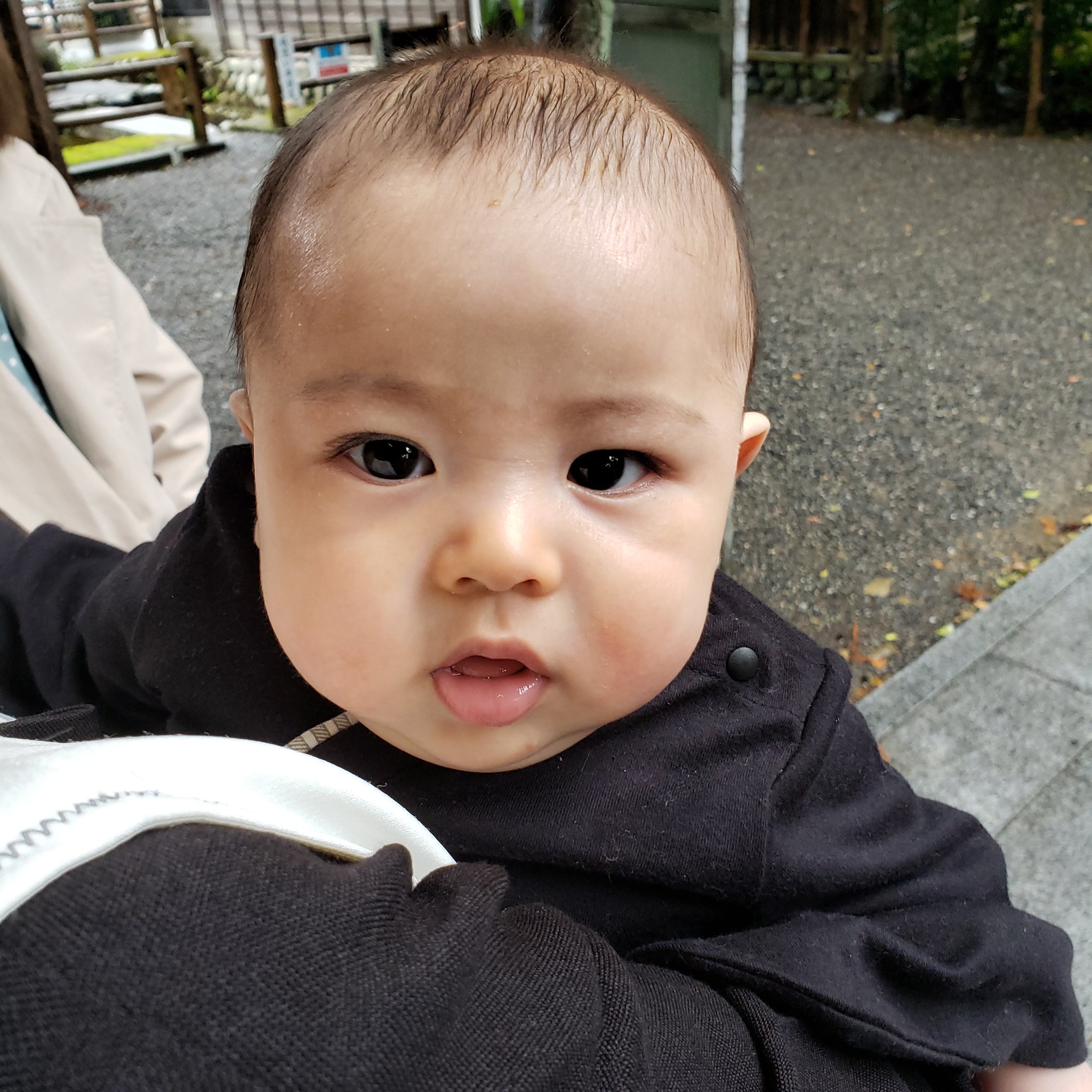 ベアクロー 妹の赤ちゃん 生後4ヶ月 のお宮参り行ってきた T Co L3wf1ceefk Twitter