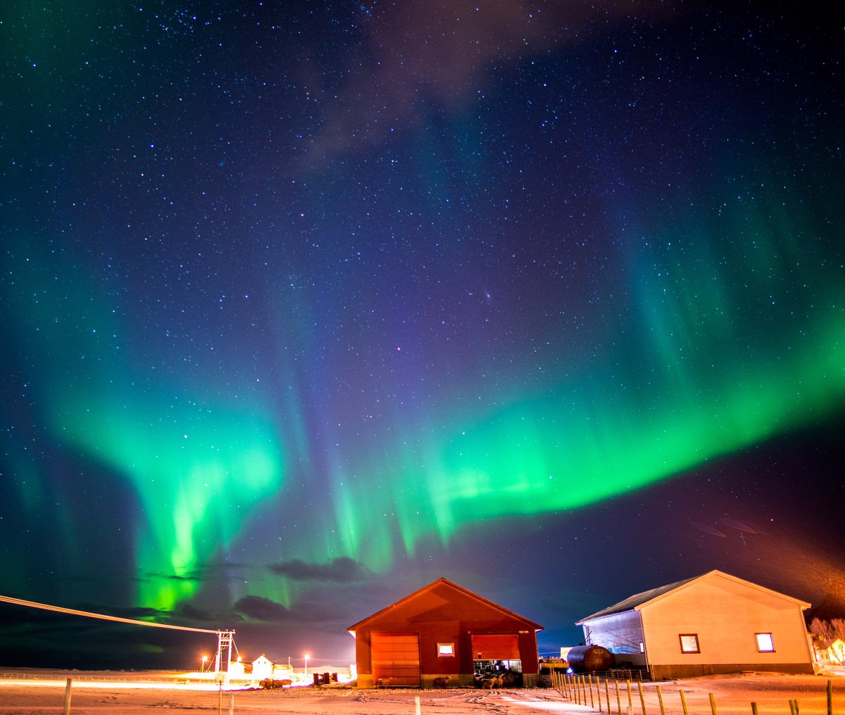 “Once in a lifetime (hopefully not) views from a little sheep farm at the end of the world” -📸: Alex Palumbo 
⁣
Who else can say they’ve seen the Aurora? 🤤⁣

Check out Alex on Instagram - bit.ly/38xXiZG
⁣
#coalatree ⁣
#MTN2CTY ⁣
#greettheoutdoors