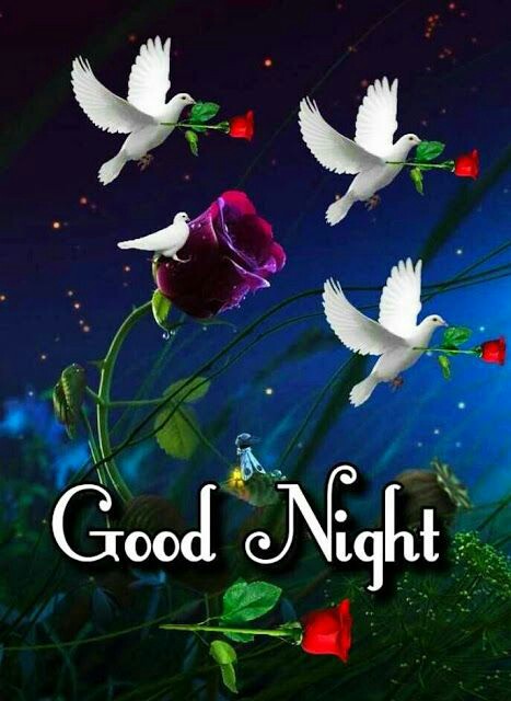 <a href="/patriciayonan/">patricia ♡☆🇺🇸 ☆🇮🇹♡</a> <a href="/JadavRashmin/">𝑹𝒂𝒔𝒉𝒎𝒊𝒏 𝑱𝒂𝒅𝒂𝒗</a> <a href="/LanLancsayer/">AtLANta Sayer</a> <a href="/linda1974a/">Linda</a> <a href="/PatriciaAHenso1/">Tricia Wingate</a> <a href="/LovesWaterViews/">Ellen</a> <a href="/RosaTrunk/">Rosa</a> <a href="/gracinhalara/">Lara</a> <a href="/peac4love/">Ceni</a> <a href="/vinodch8560/">vinod choudhary</a> @MyLove4Fassy Good night dear Patricia sweet dreams 🌹🌹🌜🌜