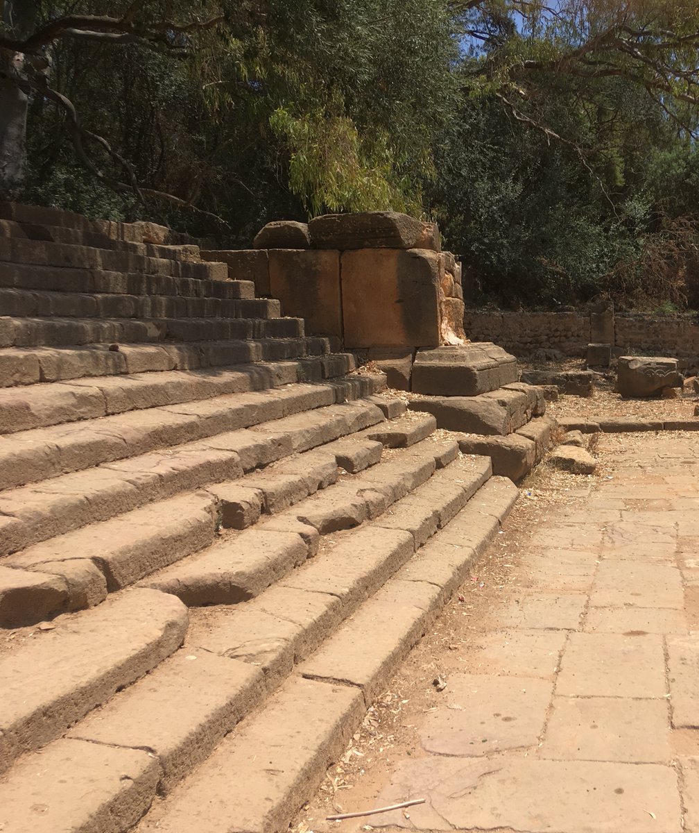 The so-called new temple in #Tipasa, Mauretania Caesariensis, about 65 km west of Algiers, Algeria. Built in the late 2nd/early 3rd century CE, part was subsequently incorporated into a church and the rest a Byzantine market.
