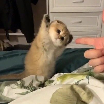 🙀 #강다니엘 #KANGDANIEL