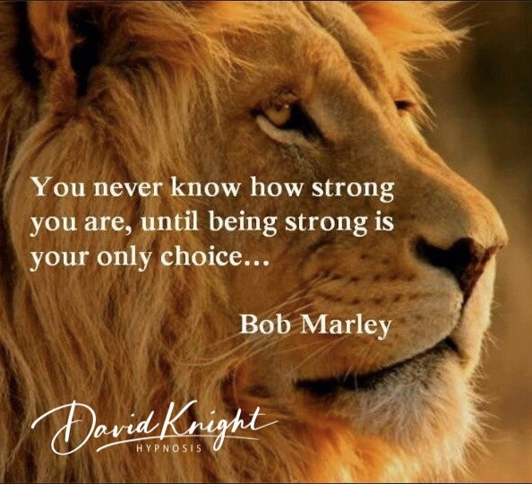 KnightHypnosis's tweet image. #hypnosis #lifestyle