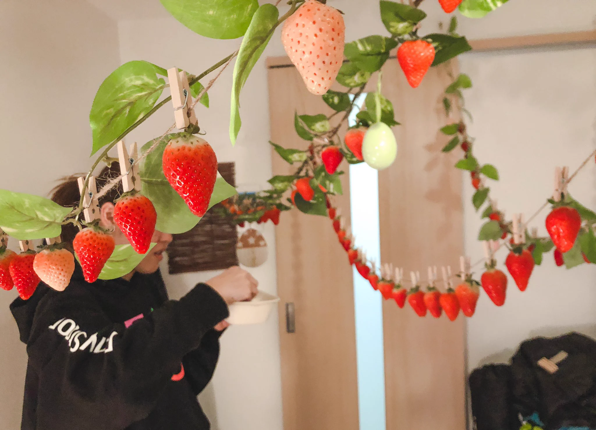 家の中でいちご狩りをする夢がなかった！！家じゅういちごだらけで可愛い！！