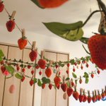家の中でいちご狩りをする夢がなかった!家じゅういちごだらけで可愛い!