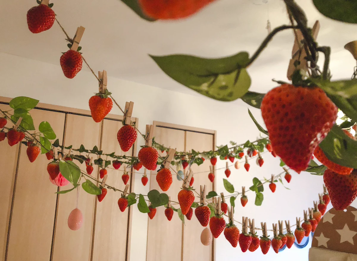 家の中でいちご狩りをする夢がなかった！！家じゅういちごだらけで可愛い！！