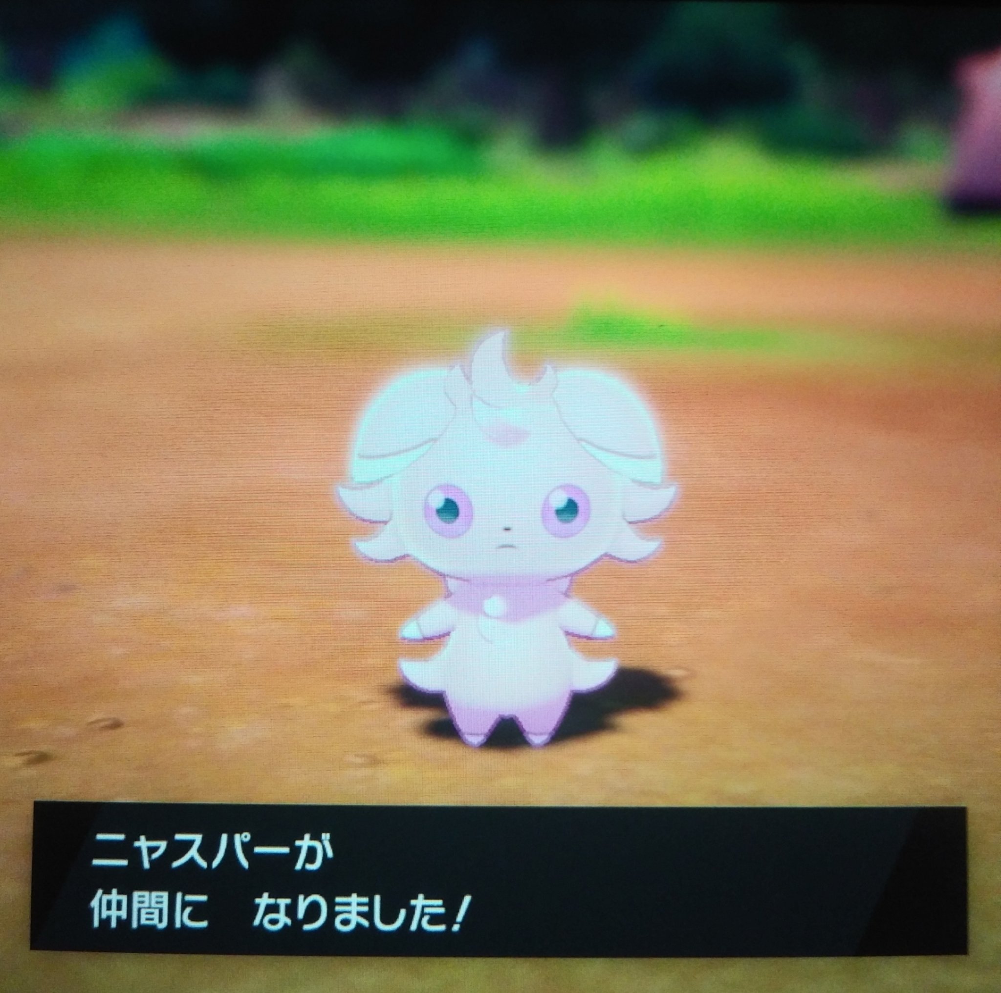 干しミミズ 大 えっえっえっ キャンプでカレー作ったら野生ポケモンが仲間になる事があるって聞いたけど色違いも出るの 直撮りダセェ T Co X8k7wfjqi2 Twitter