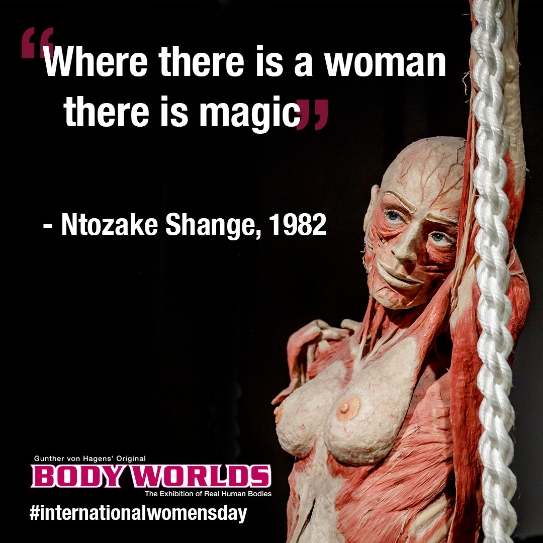 Body Worlds London tweet media