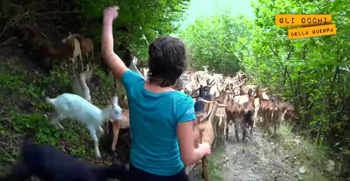 TrashumanciayN's tweet photo. Marta Fossati
Goat farm in Sambuco
For her determination
https://t.co/5K0oQzl01d
#8MRural #WomenGiveRuralLife
#GrazingConnection
@WWFespana @WWF_Portugal @TrashumanciayN https://t.co/X3PmHTjQVZ