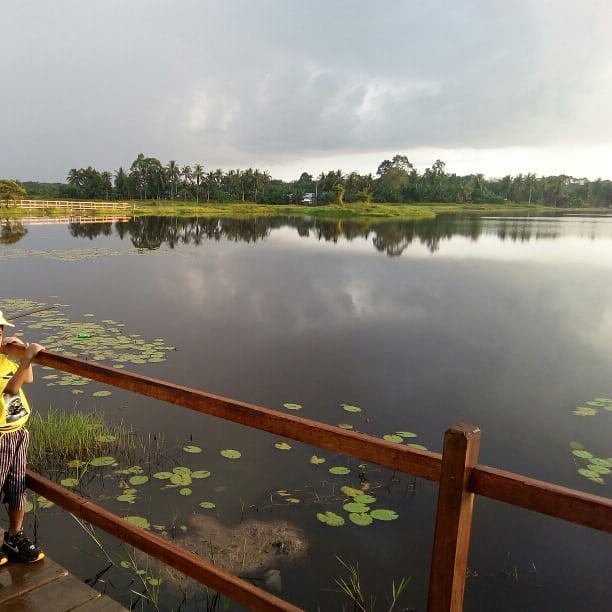 SeputarTebo's tweet photo. #MuaraTebo #KabupatenTebo #VIIKotoilir #DanauCerminAlam #DanauRiakTebakang #TamanRenahKepungo #DesaBalaiRajo #Jambi #WisataJambi #Danau https://t.co/JTx0ok2RjM