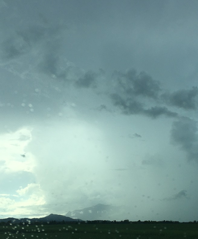 peterthorburn2's tweet image. Driving through the “wet” Wet Tropics to talk at the  @Fertcare_au updates about how the 1622WhaIf app can help #sugarcane farmers maximize their production under the new Reef Regulations.  #1622app @CANEGROWERS #digiscape @FertilizerNews #GreatBarrierReef