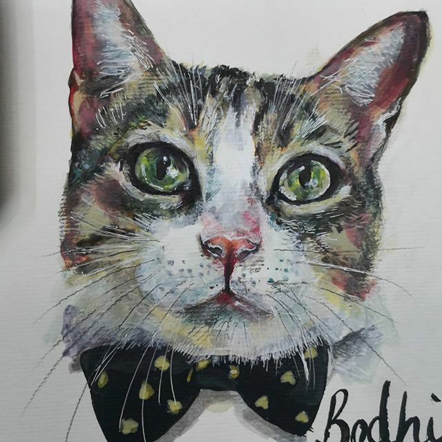 paper_hounds's tweet photo. Smart looking Bodhi in a bow tie 🎀
Commission March '20

#commissions #catportrait #catportraits #catpainting #paperhounds #paperhoundstweet #catsofinstagram #petportraitartist #petpainting #petportrait #petportraits https://t.co/Aqvq59lZA0