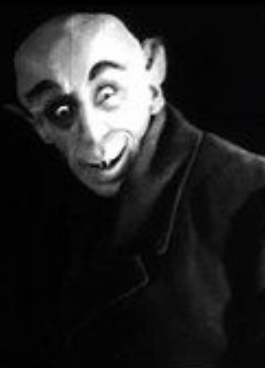 DevinNadal's tweet photo. @ufc @MmaWeili  turned @joannamma into nosferatu #fightoftheyear  #UFC248 https://t.co/V2CIjta7D9