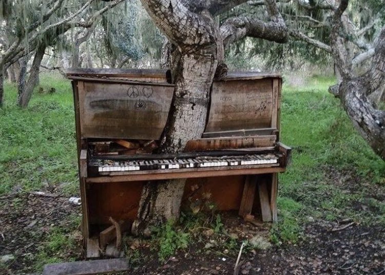 A_B_B_A_H's tweet photo. When man is gone , nature will take his place...

This world is not our home indeed. https://t.co/zkLwSrW4hy